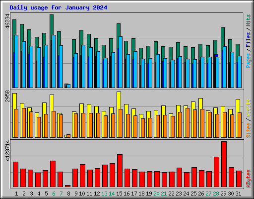Daily usage for January 2024