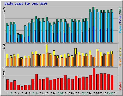 Daily usage for June 2024