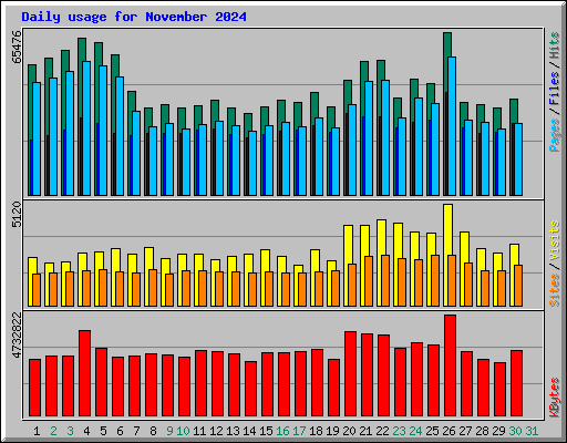 Daily usage for November 2024