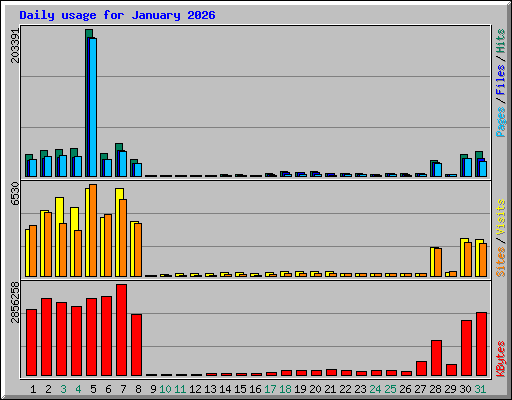 Daily usage for January 2026