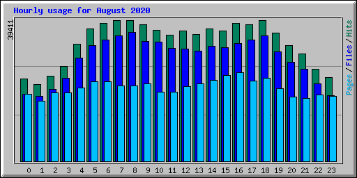 Hourly usage for August 2020