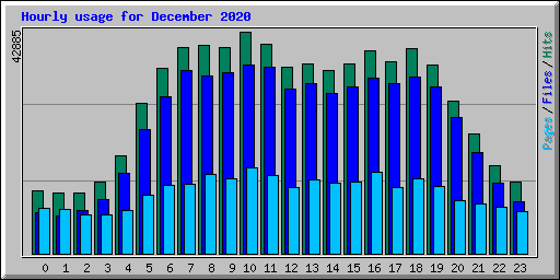 Hourly usage for December 2020