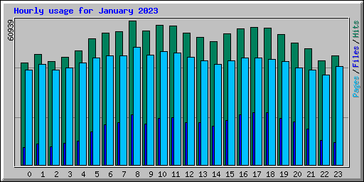 Hourly usage for January 2023