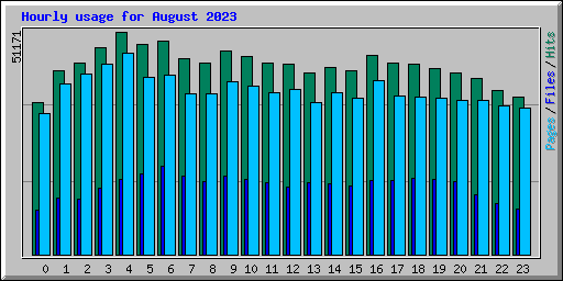 Hourly usage for August 2023