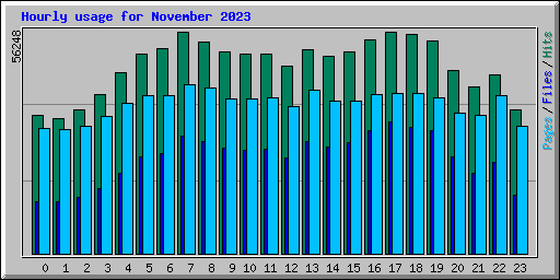 Hourly usage for November 2023