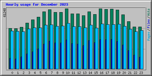 Hourly usage for December 2023