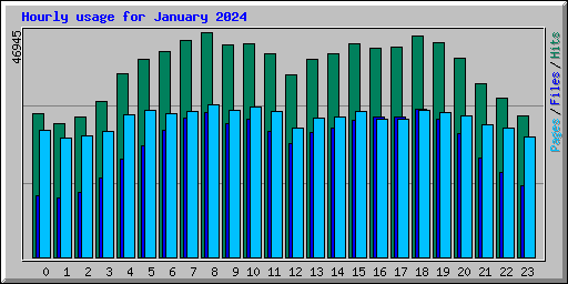 Hourly usage for January 2024