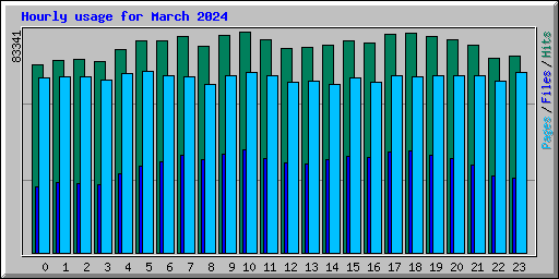 Hourly usage for March 2024