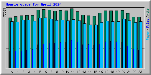 Hourly usage for April 2024