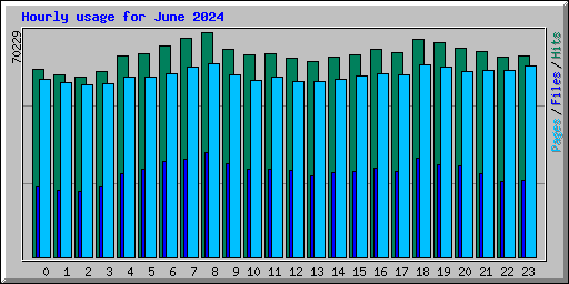 Hourly usage for June 2024