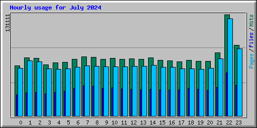 Hourly usage for July 2024