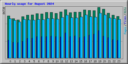 Hourly usage for August 2024