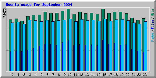 Hourly usage for September 2024