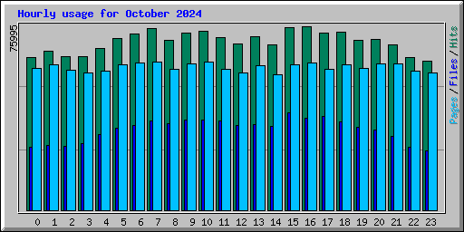 Hourly usage for October 2024