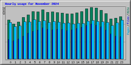 Hourly usage for November 2024