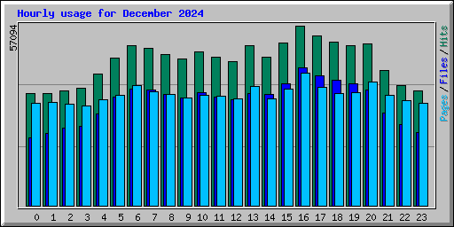 Hourly usage for December 2024