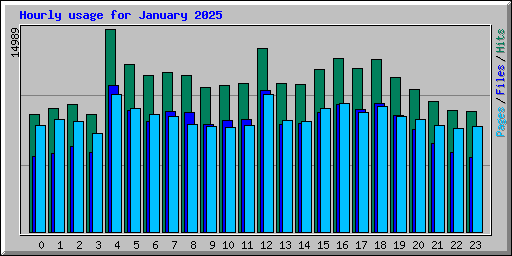 Hourly usage for January 2025