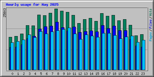 Hourly usage for May 2025