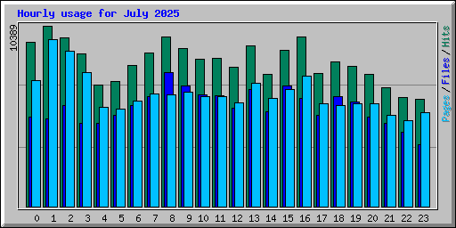 Hourly usage for July 2025