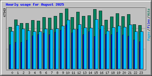 Hourly usage for August 2025