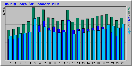 Hourly usage for December 2025