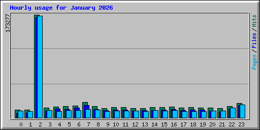 Hourly usage for January 2026
