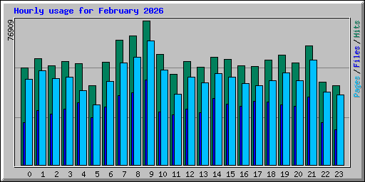 Hourly usage for February 2026