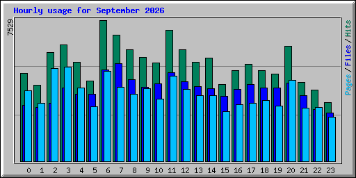 Hourly usage for September 2026